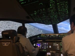 Giovanna flying over the GTA